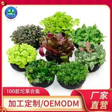 ֲϼˮ^~쾰bˮݻwֲ^pˮݶ