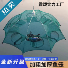 �r�\�O�W���r�W���~�\���r�W�Ӵւ����з�S�X���q�\�֒��O���~�W