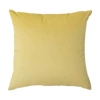 BZ0T20 (Lemon yellow)
