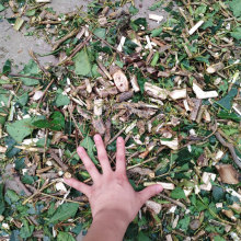 柴油动力铡草机 拖拉机拖带秸秆粉碎机 移动式甘蔗打碎机