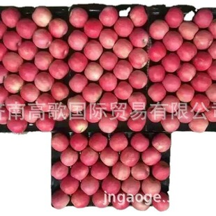 ���깩�����ڸ�ʿ�O�� apple ���|�����C �gӭ�����xُ