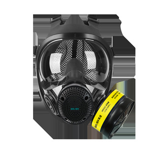 GOL-SIV�������ִ�E�2���V����