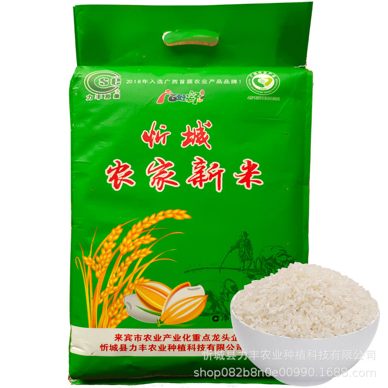 Xincheng farmhouse new rice grain fragrance (long grain silk seedling rice 10KG)