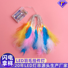 【定制】LED羽毛灯串卧室电池灯串led圣诞婚庆家居装饰羽毛灯串