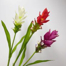 �羳�ָн��ɻ� ܛ�z���滨�������l �����Wʽ�����Բ廨�b����