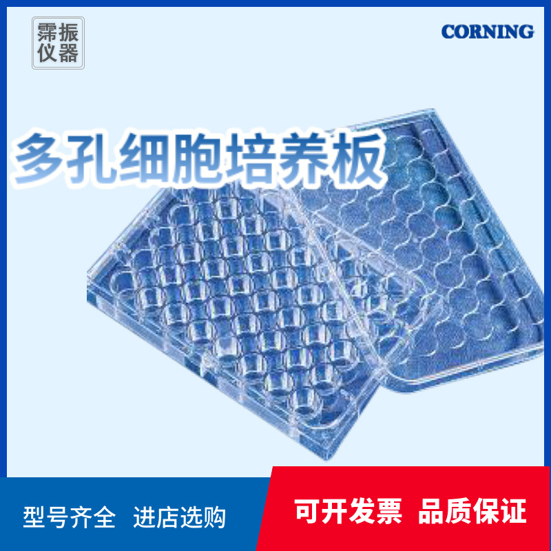 康宁Corning多孔细胞培养板6/12/24孔透明多孔板透明无菌多种规格
