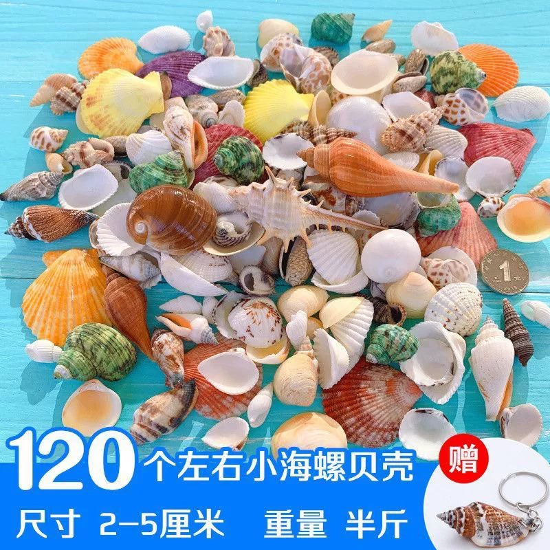 Aquarium decor, materials set for swimming, starfish