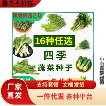 �~����˿��С�ײ����˷N�������߲˷N�Ӵ�ȫ�ļ��̨���Բ��ѷN