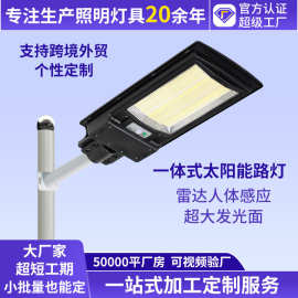 【加工定制】一体化人体感应太阳能灯农村庭院户外防水太阳能路灯