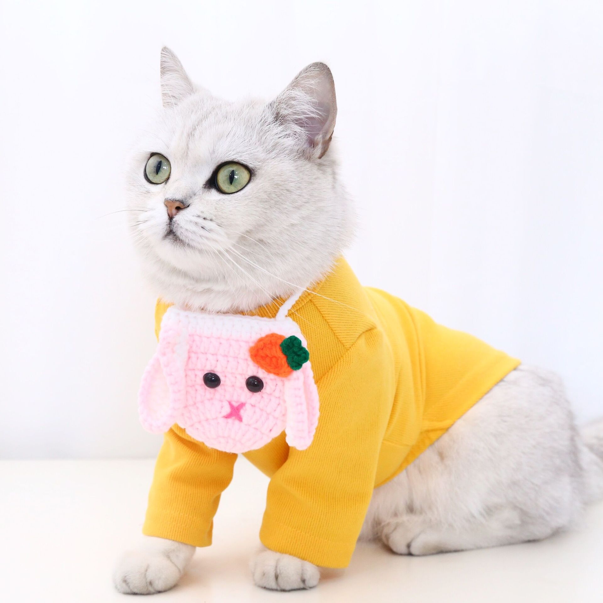 Mascota auto-mochila lana gancho de mano bolsa de merienda gato perro flor abeja zanahoria conejo collar de babero de punto