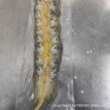 �S���~�S�~�����r���S�~���r�ك����l