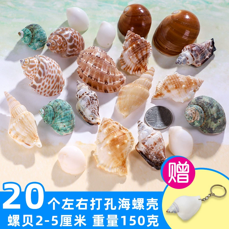 Organic aquarium with shells, aquarium decor, sample handmade