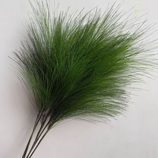 ����Gֲ��֦3���Rβ�� ���ɭϵ�Gֲ�Ҿ��b���Ĳ��쾰�������l