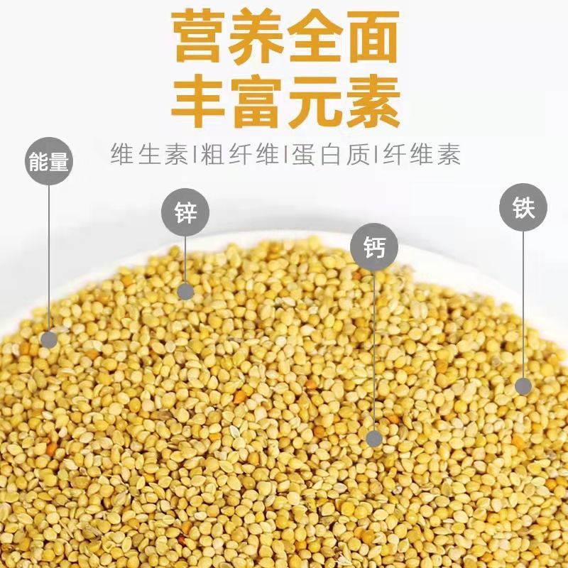 62bef51d-0bb6-4989-84fa-0a8b820c6835.jpe