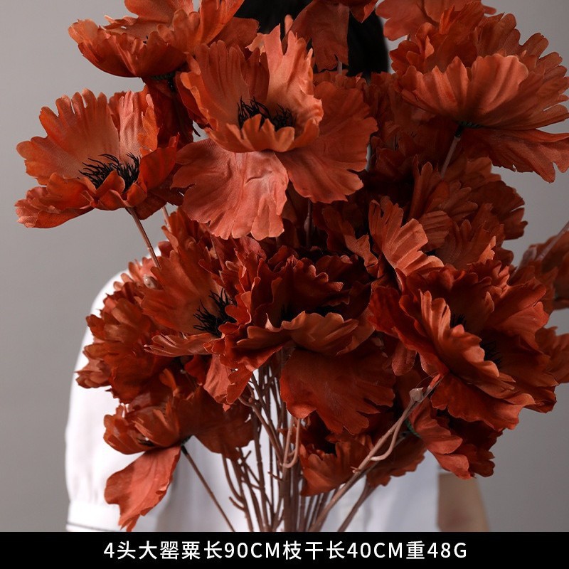 큰 양귀비 4 개