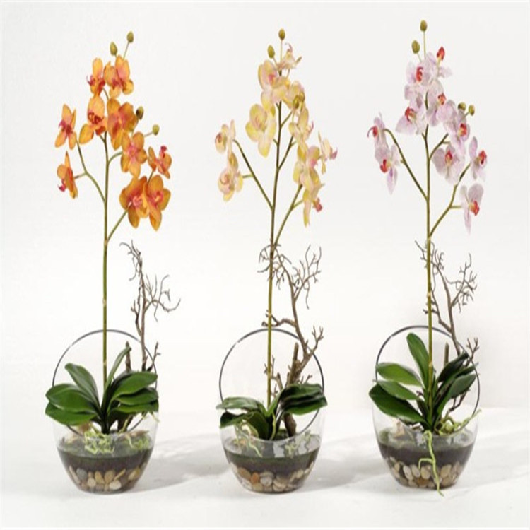 BBGLASS Inclined glass balls Succulent micro-landscape ecological…