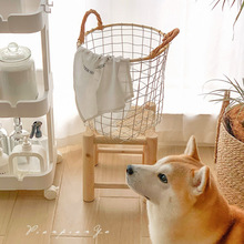 ��ʽ�͹��Fˇ�ռ{���ٗl�F�z��������𺆼s�W�������ռ{�@�߲�ș