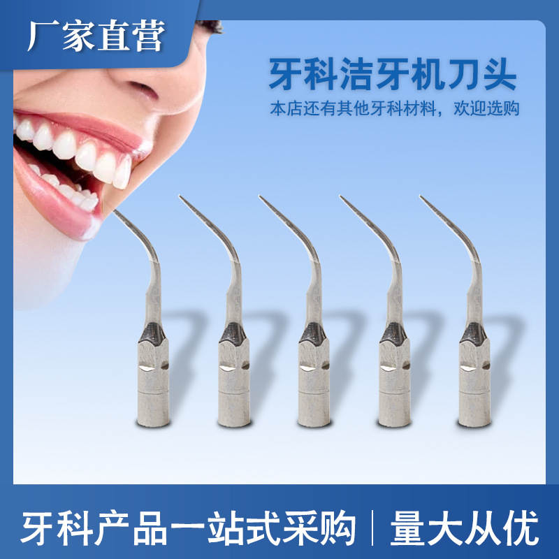 Dental oral material Acero inoxidable diente limpiador cuchillo cabeza mango diente limpiador punta de trabajo quitar cálculo dental