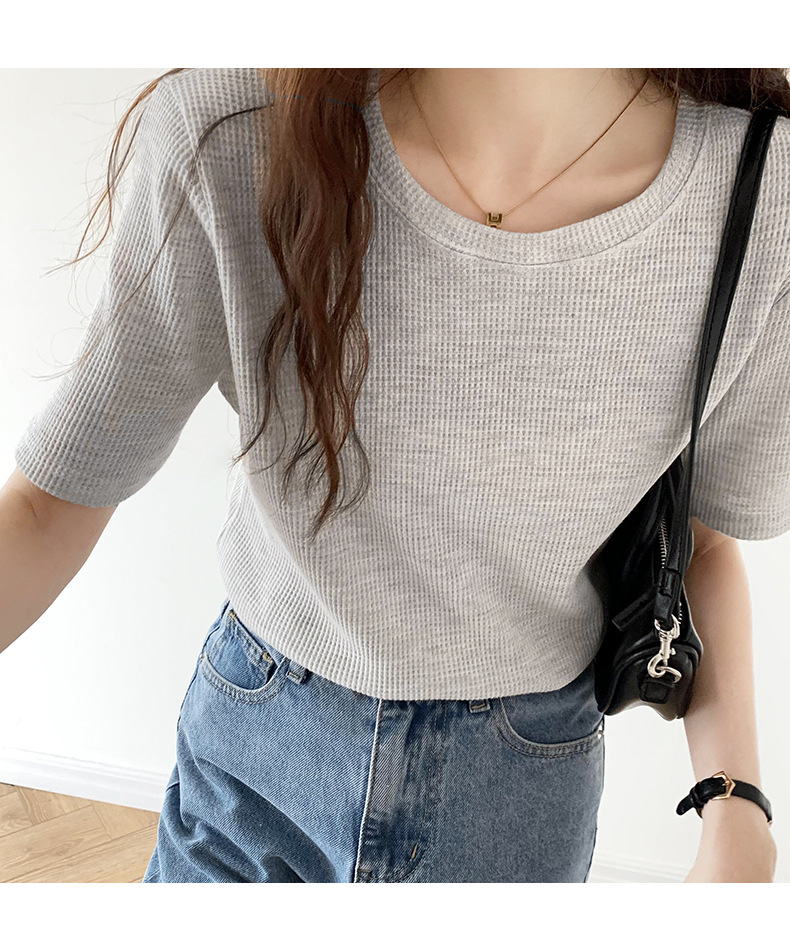 t2416255632292673658172029666.