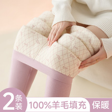 秋冬季羊毛填充保暖裤女内穿加绒打底裤东北特厚大码秋裤棉毛线裤