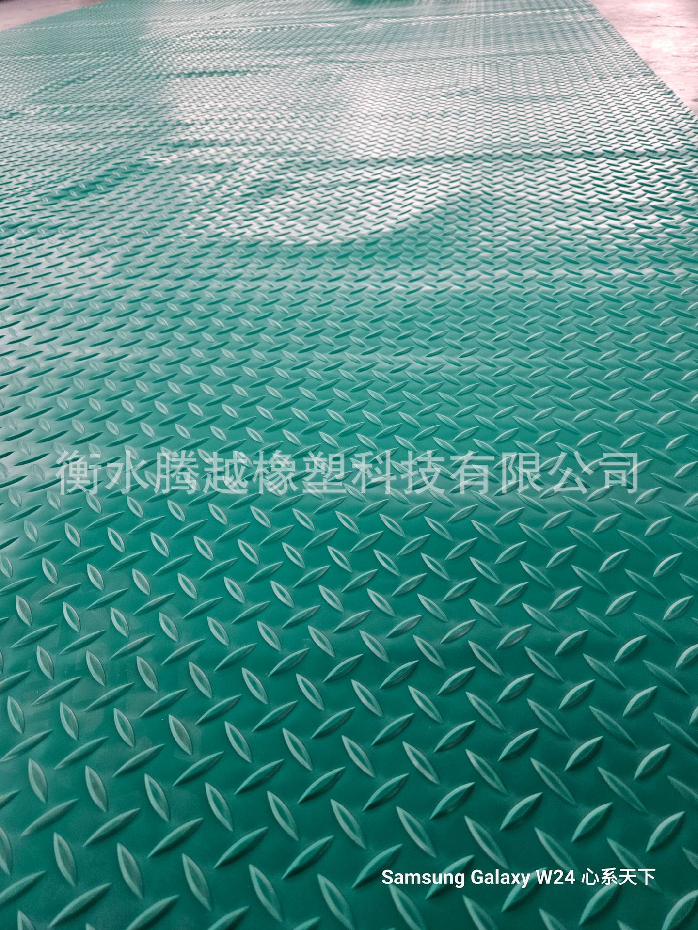 微信图片_20240824110926