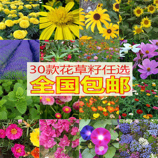 ���羳��؛���ݻ��N�Ӳ�ƺ�N�ӻ�����������ݻ��M�ϷN���M��Ұ��