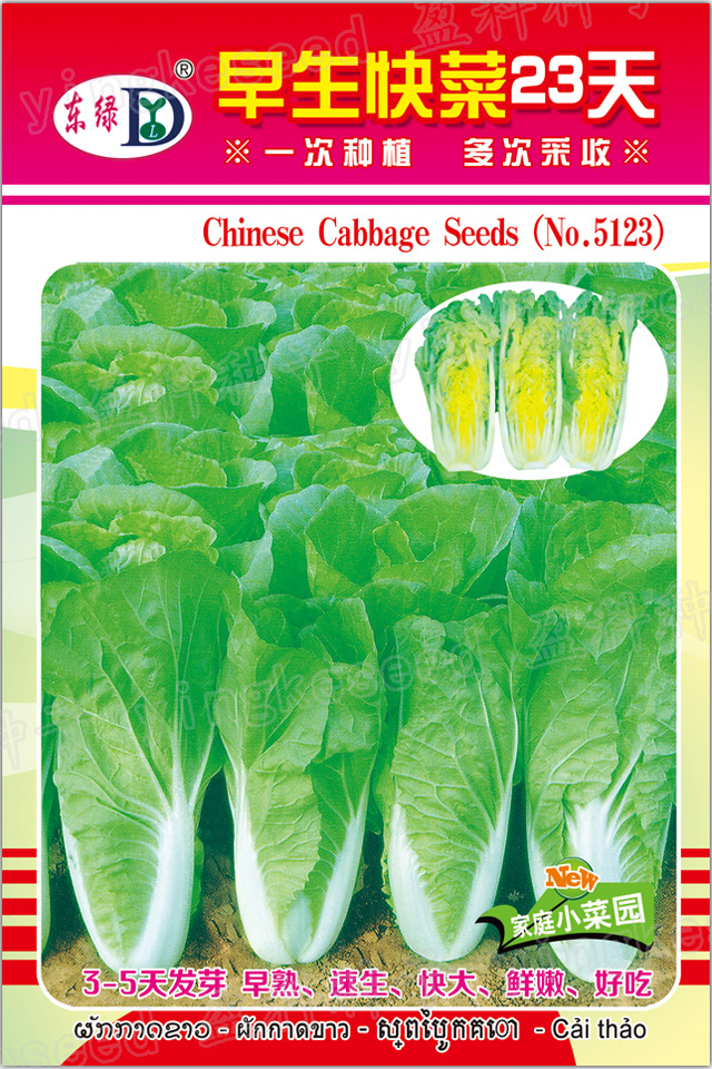 早生快菜23天一一一一