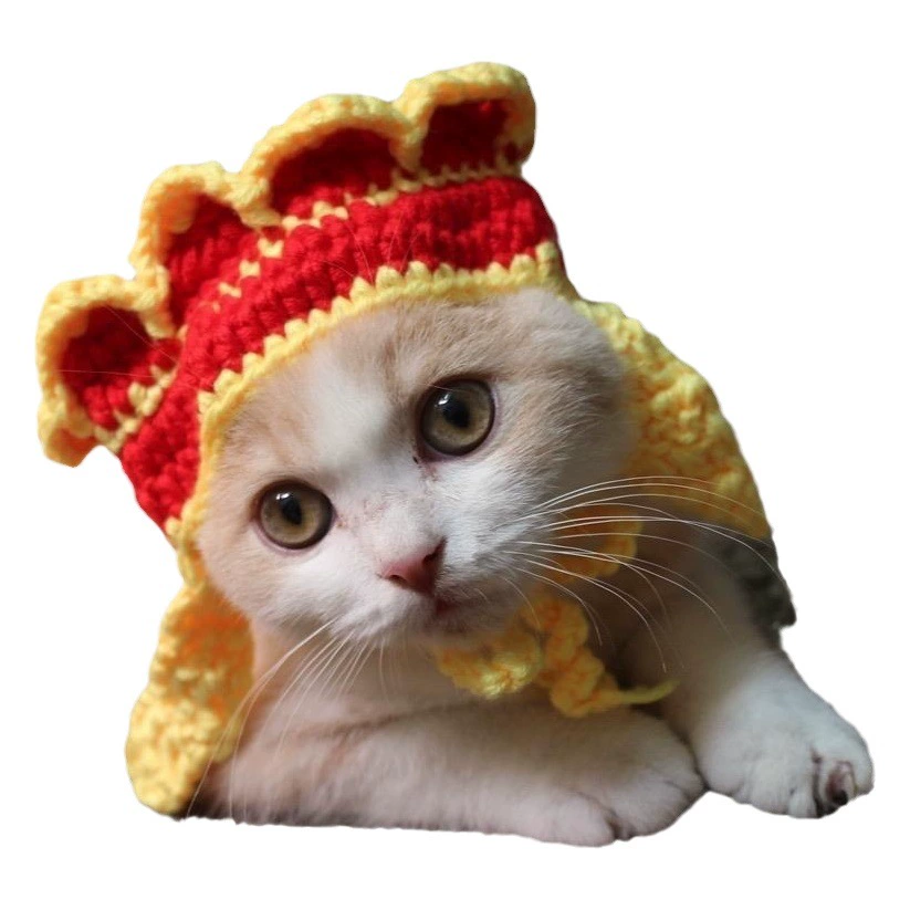 Amazon Pet головной убор кошка собака вязаная шапка реквизит для косплея головной убор забавная трансформация одежда оптом