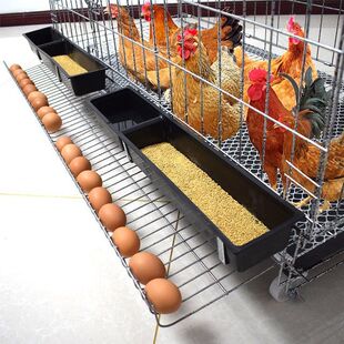 鸡笼子养殖笼特大号铁丝笼加粗养鸡笼子鸡舍家用自动下蛋鸡笼鸭笼-阿里巴巴