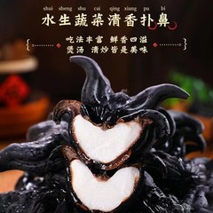 老菱角 2.5kg 湖北産 黒殻菱角 新鮮な粉もち 非紅湖野生 送料無料×野菜 季節