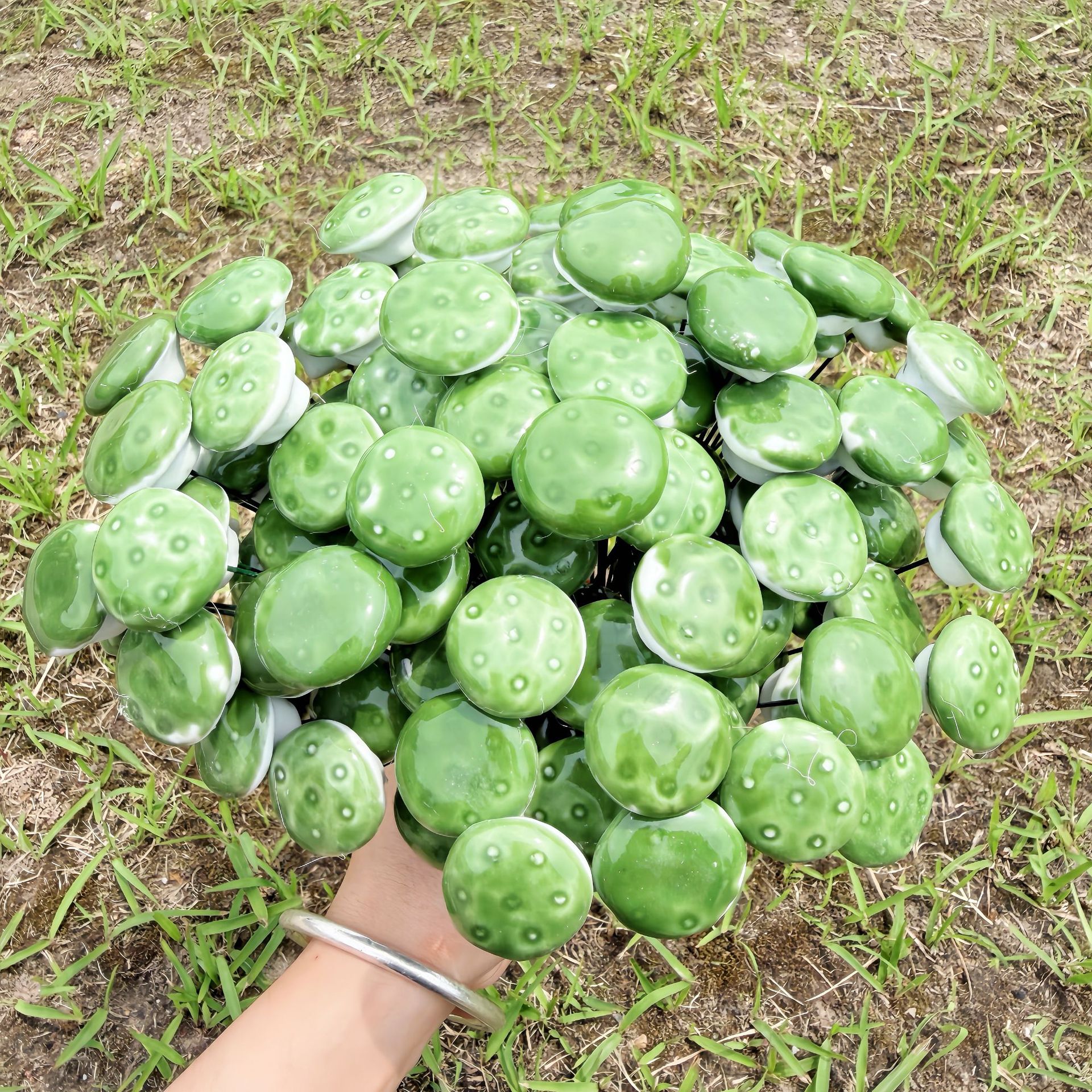 微信图片_20260511113412_2722_24
