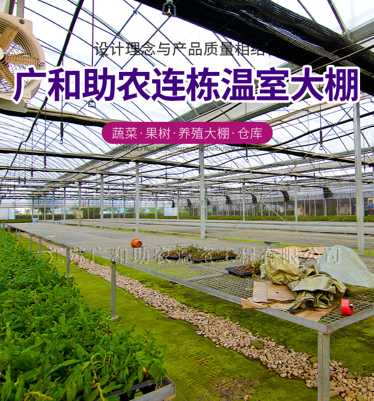 阿里连栋大棚详情页_01.jpg