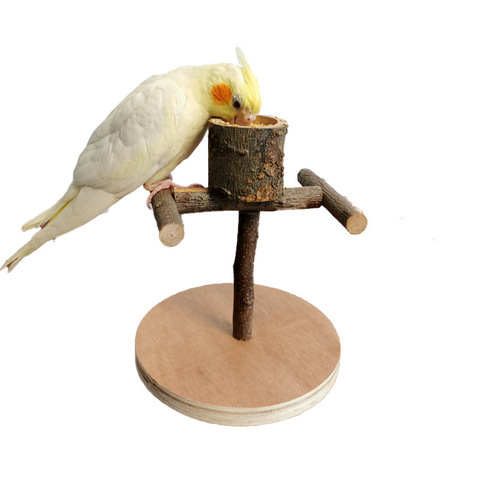 Solid Wood Parrot Stand Bird Training Stand Parrot Toy Supplies Desktop Training Stand Parrot Stand Pole Interactive Playground