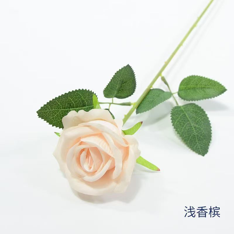 Fleece Rose-Champagne Color