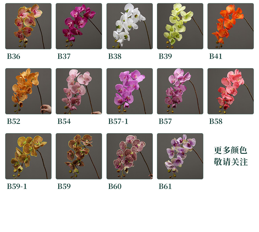 平面大兰花-7.27_04.jpg