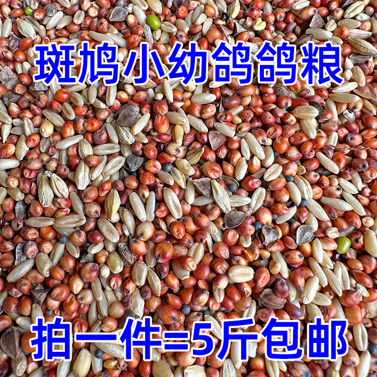 Turtledove, Small Pigeon, Young Pigeon Food, Pigeon Food, Corn-Free, Pea-Free Pigeon Food, Magic Pigeon Racing Pigeon Food