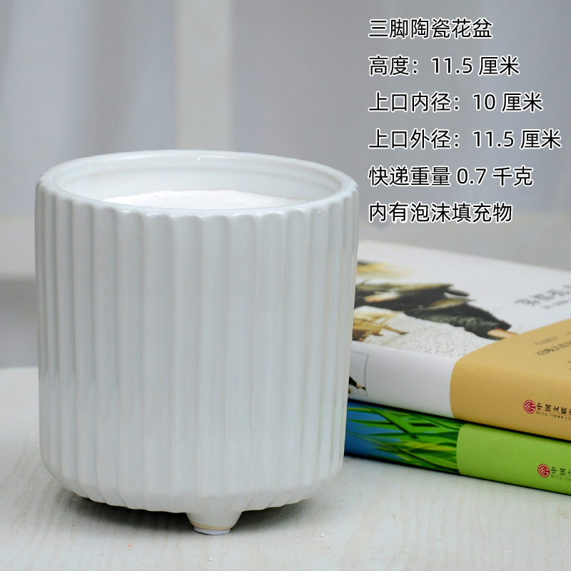 Jardín de flores bonsai decoración piso plástico florero contenedor resina blanco plástico cerca maceta