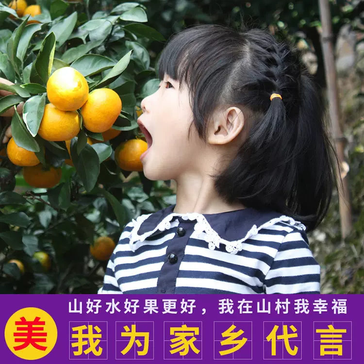 上门采摘台州蜜橘临海涌泉蜜桔浙江橘子新鲜宫川早熟无核黄岩桔子