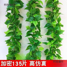 ��ˮ�����ړ��b��{��ˮ�ܾGֲ�p�@���ϼٻ������ڳ��l����̫��