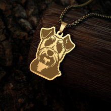 �������� Airedale �������� Ůʿ���P��������錚��
