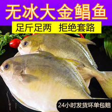 �����K�~5���r������ك���������~�����~ƽ�~