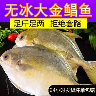 �����K�~5���r������ك���������~�����~ƽ�~