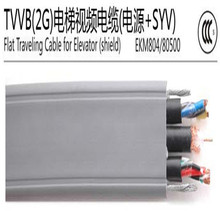 ECHU/�׳� ����S��CAT6�W�� ����|  TVVBG  3* CAT6