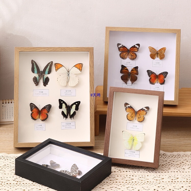 Hollow Photo Frame Table Handmade Butterfly 4 Insect Specimen Box Stereo Frame Dried Flower Preservation Display Frame Picture Frame