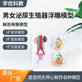 医药教学器材;生物教学器材;其他口腔护理