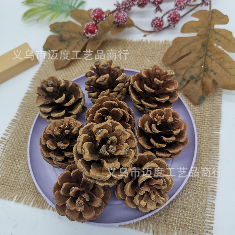 3-4cm oil pine [20 pieces]