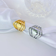 Korean-style minimalist titanium steel ring for women, design-savvy, niche geometric, polished, cool-toned, trendy, and personalized finger ring