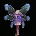Zilin Cross -Border фестиваль партия составить одежда реквизит ВЕЛ свет бабочка перо крыло свет ангельские крылья