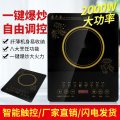 電磁調理器ガラスブラッククリスタルボタン多機能家庭用工場 110V220V 中国語と英語のプラグ