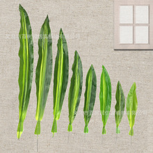 仿真树叶仿真巴西叶黄铁树叶厂家批发插花配件婚庆装饰场景布置